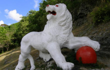 Beautiful Barbados Tours and Excursions Ltd11