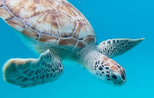 Beautiful Barbados Tours and Excursions Ltd2