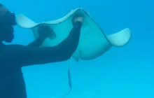 Beautiful Barbados Tours and Excursions Ltd9