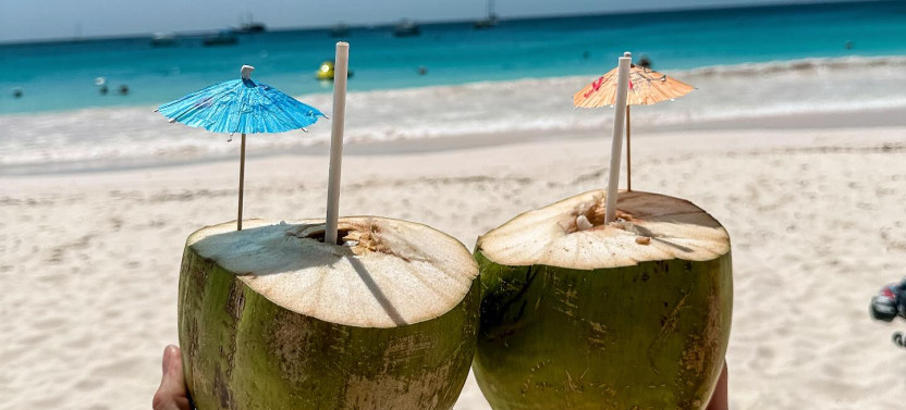 Ultimate Barbados Beach Day and Snorkel Cruise