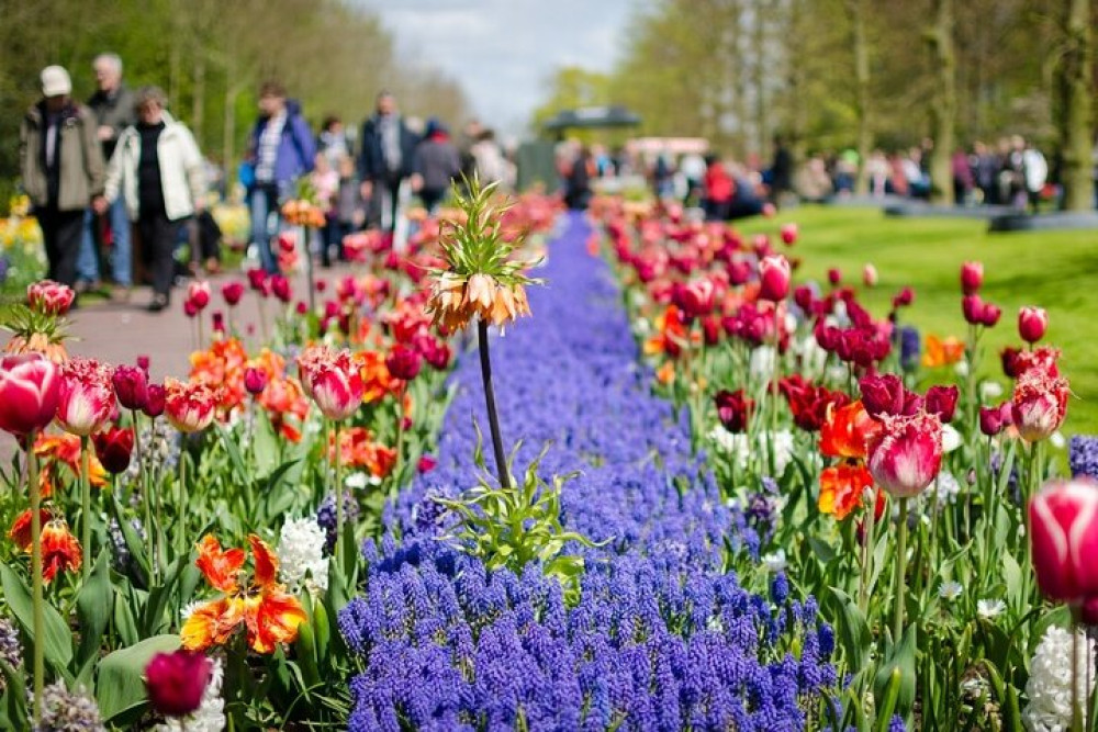 Day Trip To Tulip Gardens Of Keukenhof: Private & Personalized