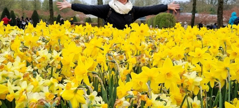 Day Trip To Tulip Gardens Of Keukenhof: Private & Personalized