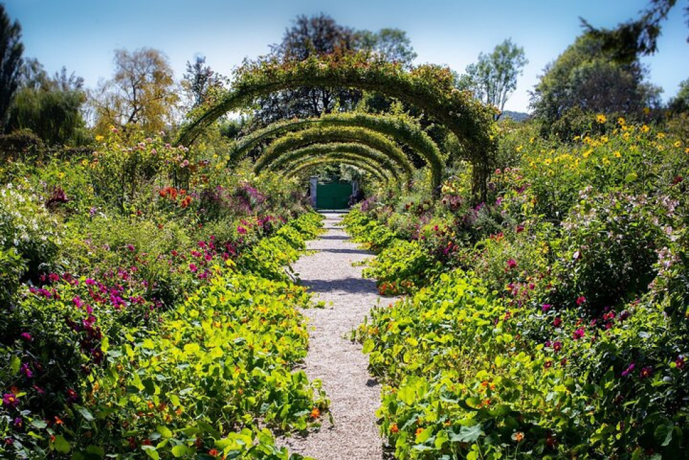 Private Day Trip: Paris to Rouen and Giverny