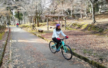 Japan Tour Adventure7
