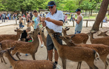 Japan Tour Adventure3