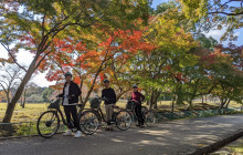 Japan Tour Adventure6