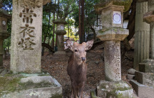 Japan Tour Adventure8