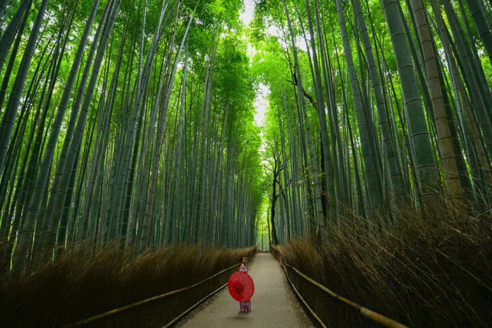 Private Arashiyama Walking Tour with Bamboo Grove and Garden Tea