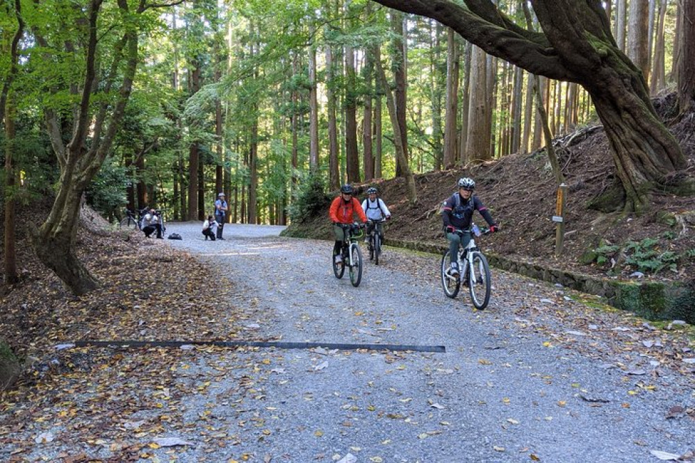 Private Nara Bike Tour Through Kasugayama Forest, Temples & Mt. Wakakusa