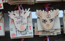 Japan Tour Adventure12