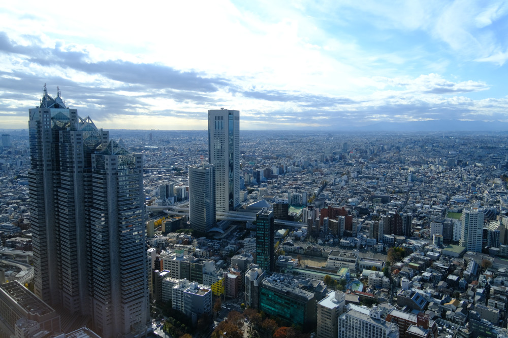 Tokyo Walking Tour with Edo Gardens, Tsukiji Market & Shinjuku Nights