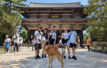 Japan Tour Adventure2