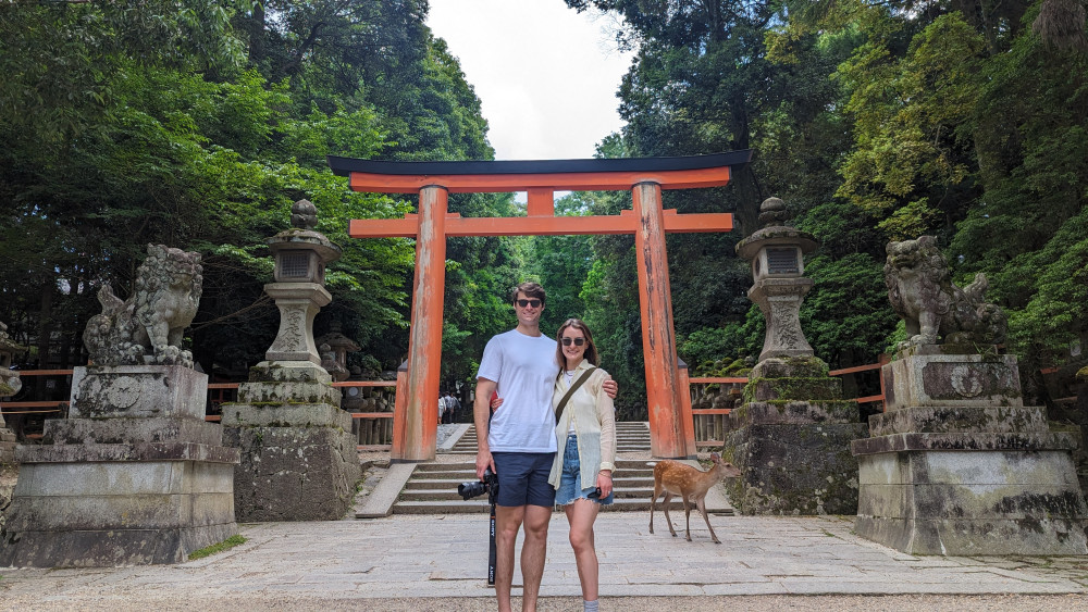 Full-day Nara: Deer, Temple, Shrine, Activities & Tea Ceremony