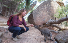 Tours Tasmania8