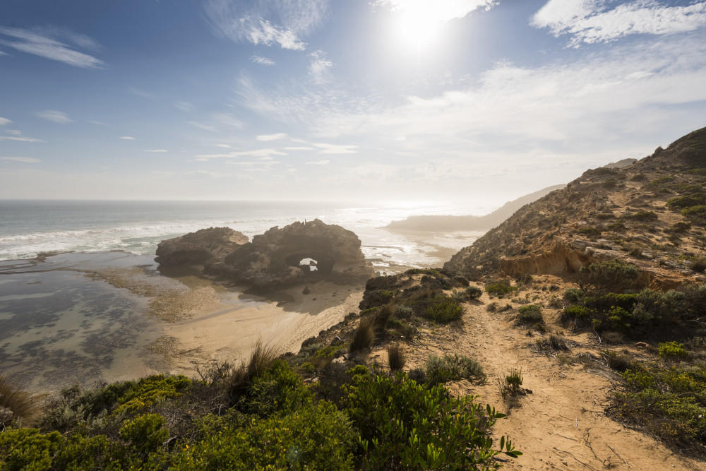 Mornington Peninsula Sightseeing & Bay Cruise