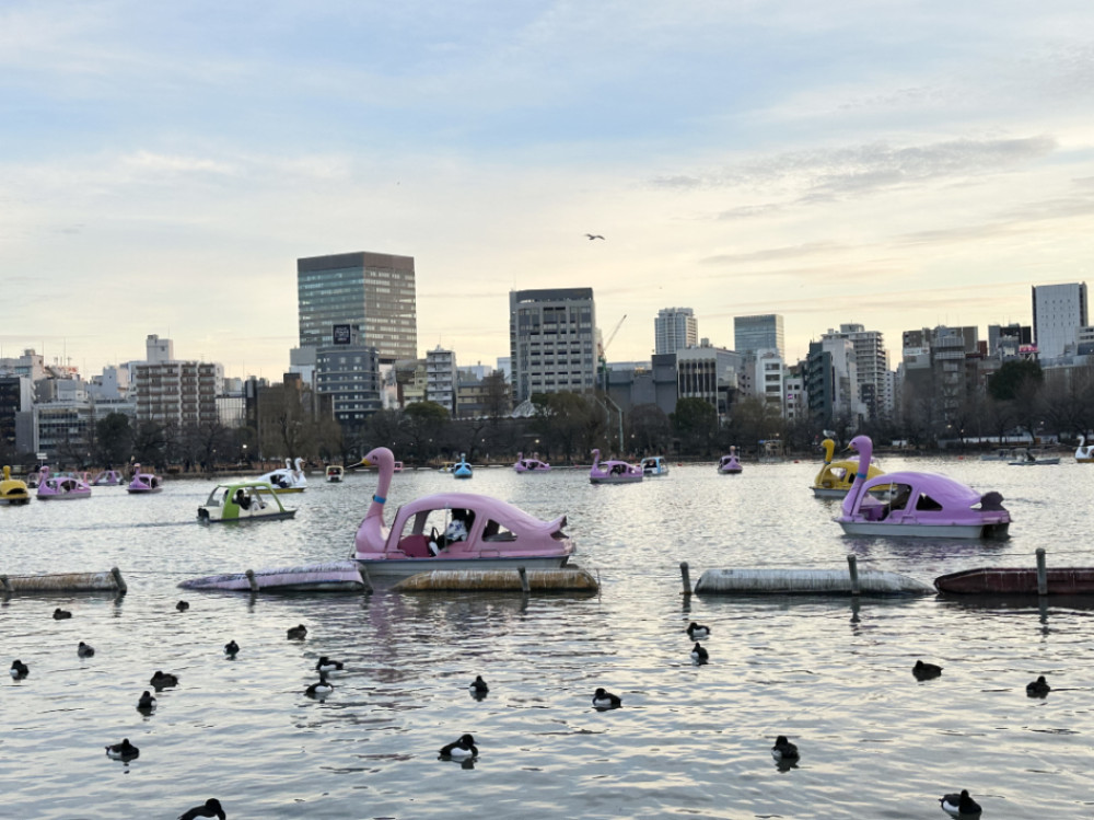 Private Full-Day Tokyo Highlights Tour from Asakusa to Shibuya