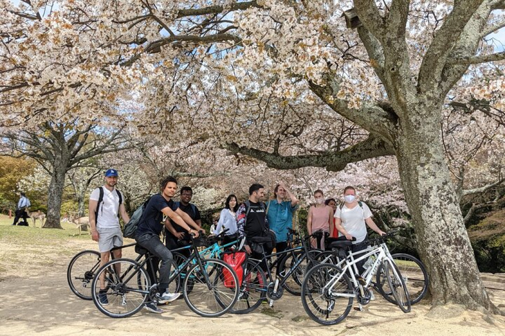 Nara Cross Bike Adventure to Kasugayama Forest, Mount Wakakusa & Ruins