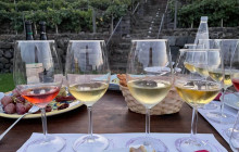 Alcantara Valley and Wine tasting