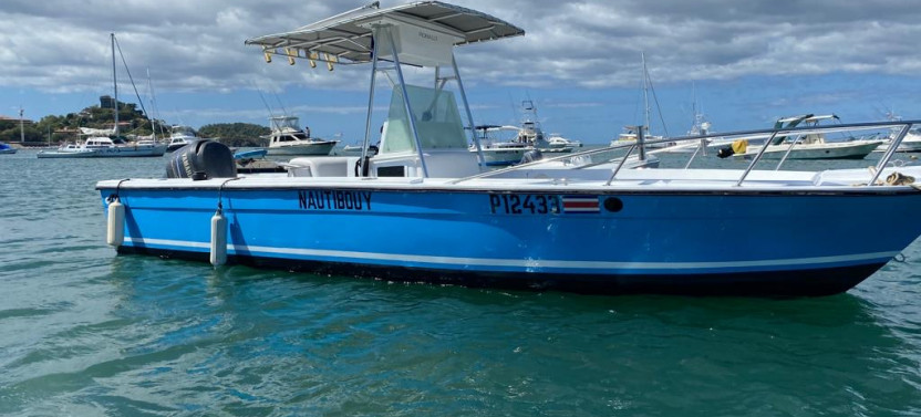 Private Snorkeling Trip at Flamingo Beach