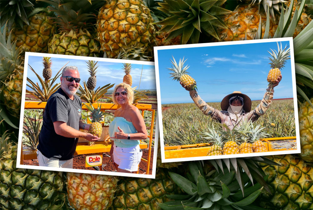 pineapple farm tour oahu