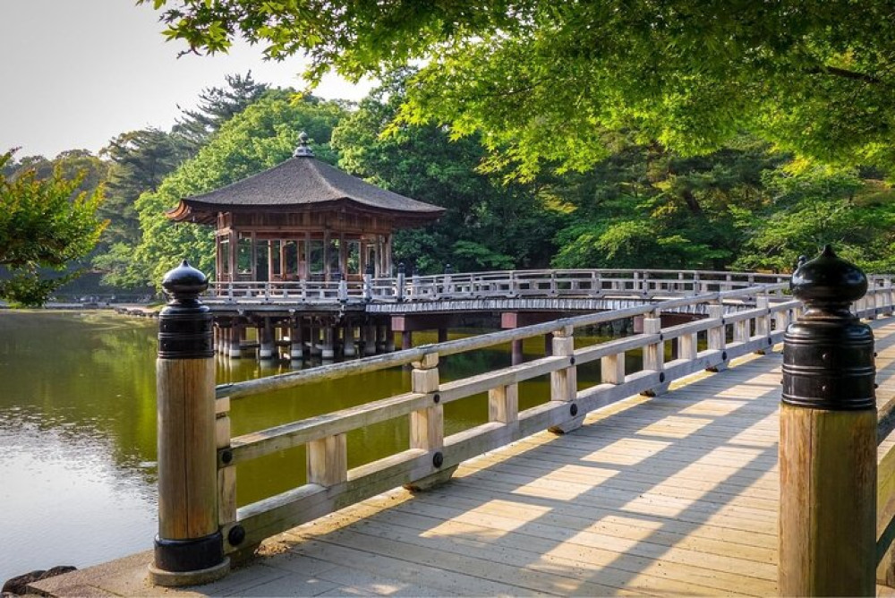 Private & Personalized Nara Day Trip From Kyoto With A Local