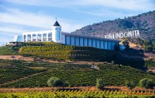 Private Valparaiso & Wine Valley Tour