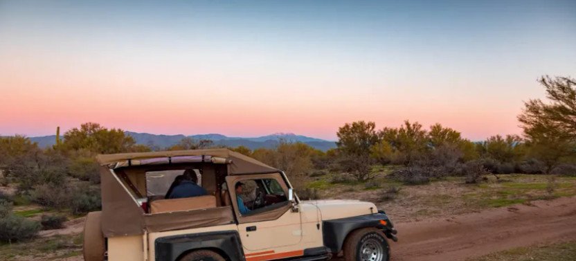 Small Group: Sonoran Desert Jeep Tour