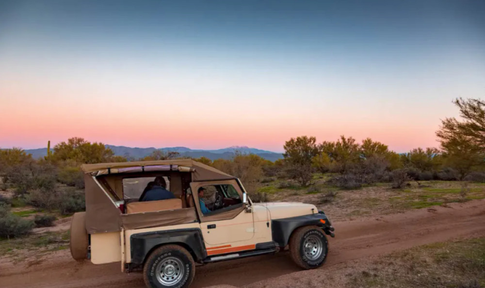 Small Group: Sonoran Desert Jeep Tour