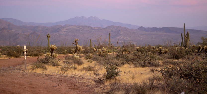 Small Group Sunset Sonoran Desert Jeep Tour