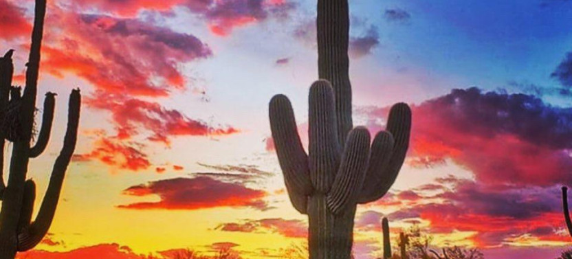 Small Group Sunset Sonoran Desert Jeep Tour