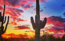 Scottsdale Adventures3