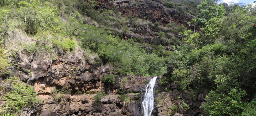 Oahu Waimea Waterfall Hike and Swim