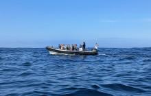 SeaEO Tours5