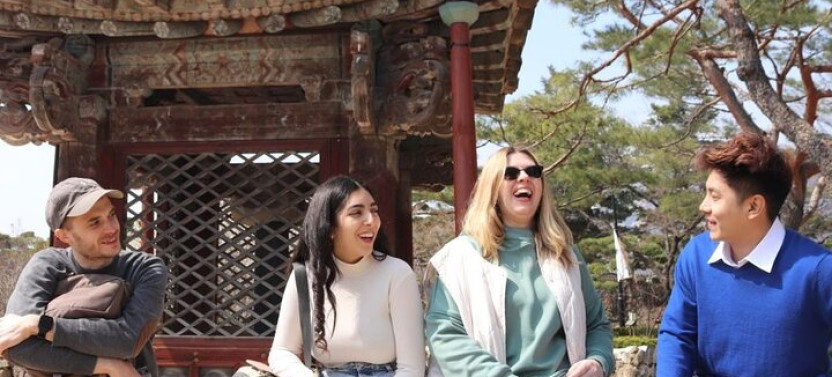 Half Day Seoul Tour With A Local: Personalized & Private