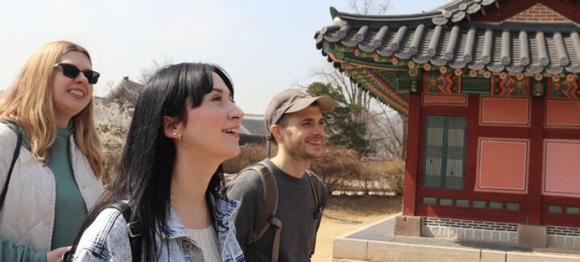 Half Day Seoul Tour With A Local: Personalized & Private