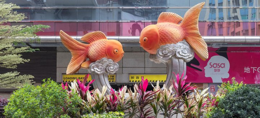 Private & Personalized Hong Kong Street Art Tour With A Local