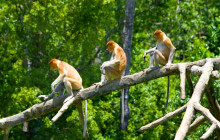 Discova Day Tours and Activities6