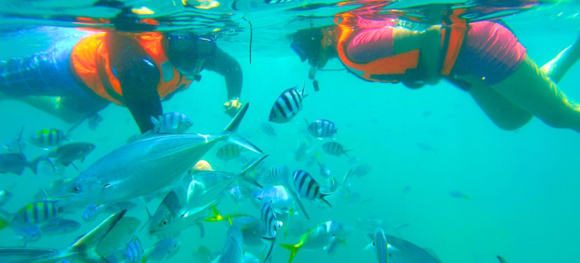 Manukan and Sapi Island Shared Tour