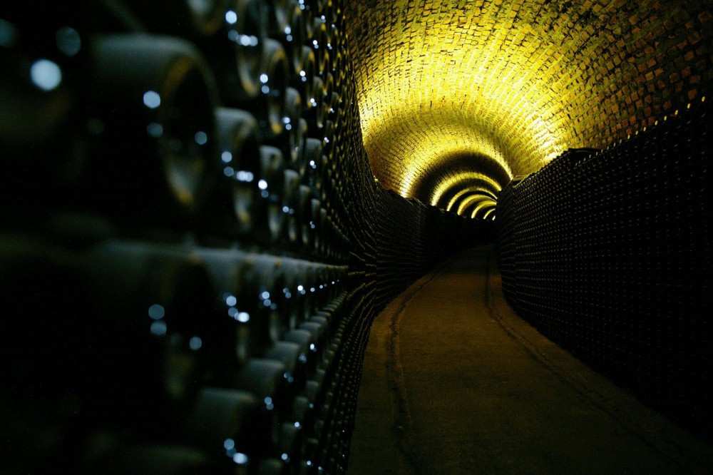 Premium Bairrada Tour: 3 Wineries, Sparkling Wine Tasting & Lunch