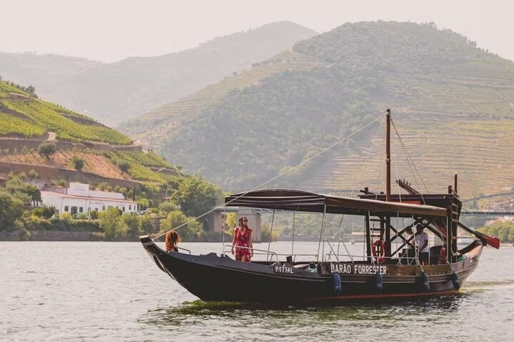 Private Tour Douro Valley: 2 Farms with Wine Tastings, Lunch and Boat Ride