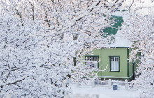 Icelandia871
