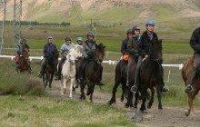 Icelandia980