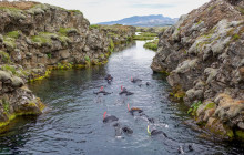 Icelandia1225