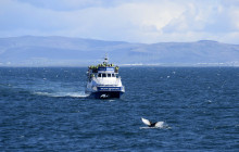 Icelandia1296