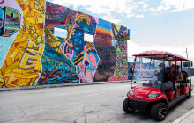 Travel Curious1