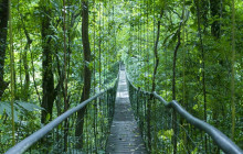 Greenway Nature Tours485