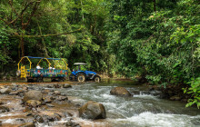 Greenway Nature Tours486