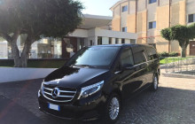 Panormus Autoservizi3