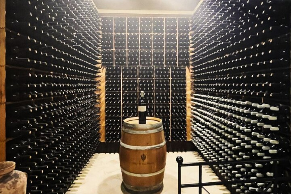 Small Group Sicilian Vineyard & Wine Heritage Tour from Palermo