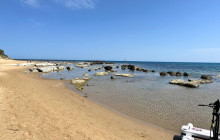 Panormus Autoservizi7